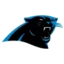 Panthers logo